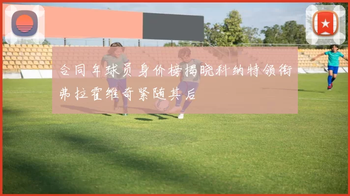 合同年球员身价榜揭晓科纳特领衔弗拉霍维奇紧随其后